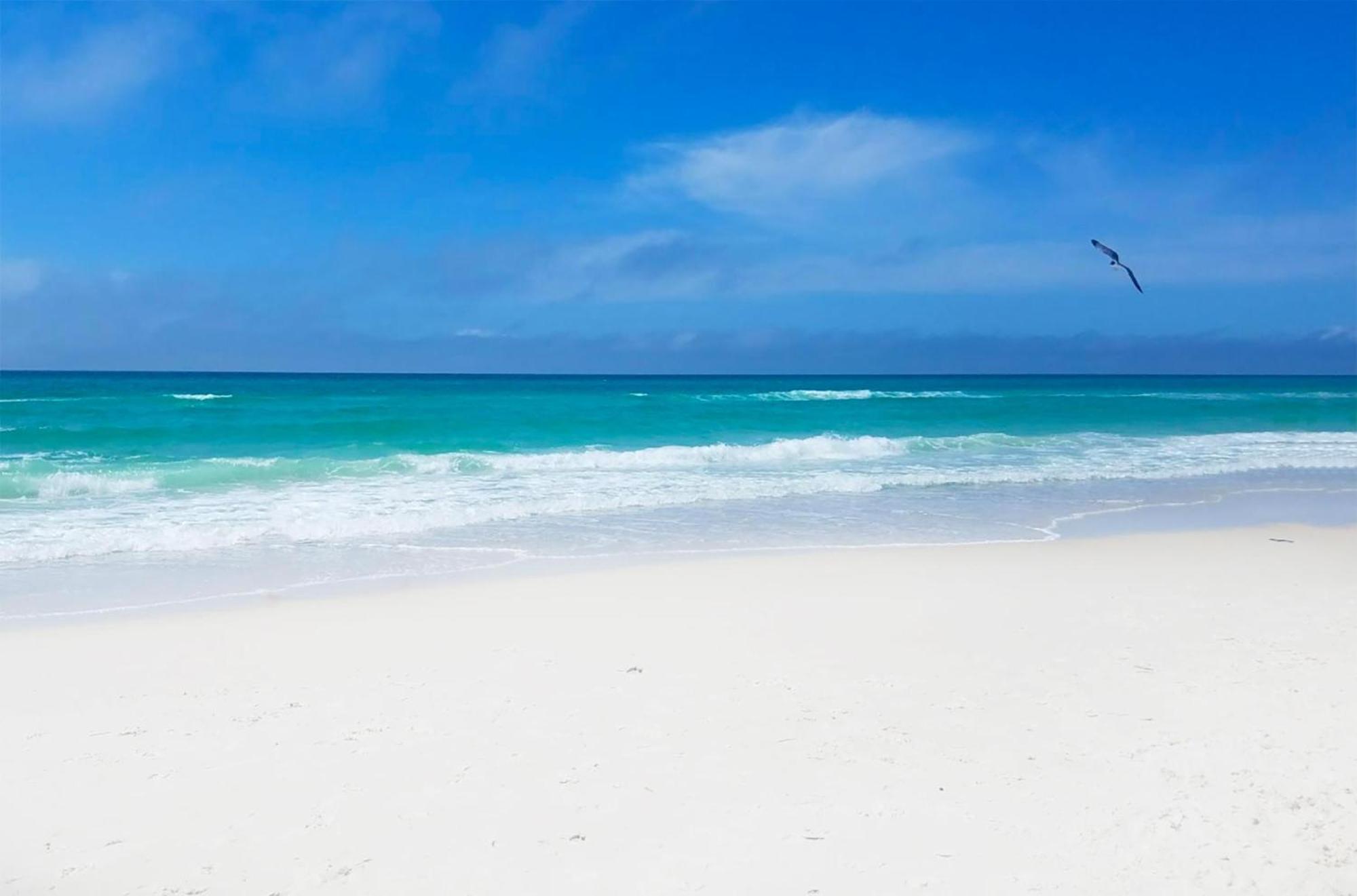 Laguna Beach Breeze Panama City Beach Exterior foto